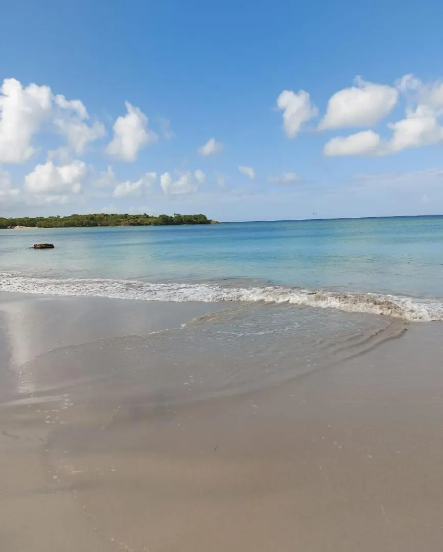 Appartements Residence Mahoghany Sainte-Anne